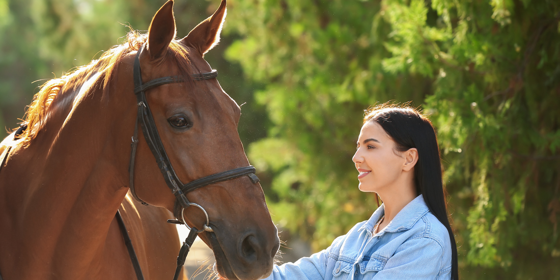 Leinkuchen - ein natürliches, gesundes Futtermittel