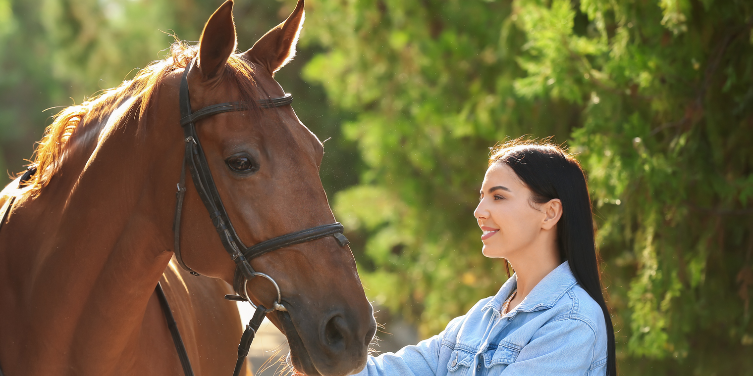 Leinkuchen - ein natürliches, gesundes Futtermittel