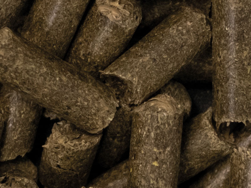 Größere Pellets könnten sich positiv auf Verdauung und Gesundheit von Pferden auswirken, das legt eine neue Studie deutscher Ernährungswissenschaftler nahe.