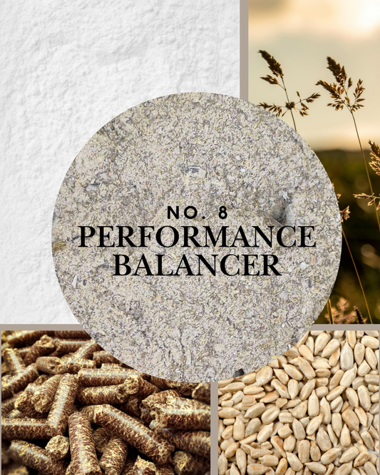 No. 8 - Performance Balancer für Pferde