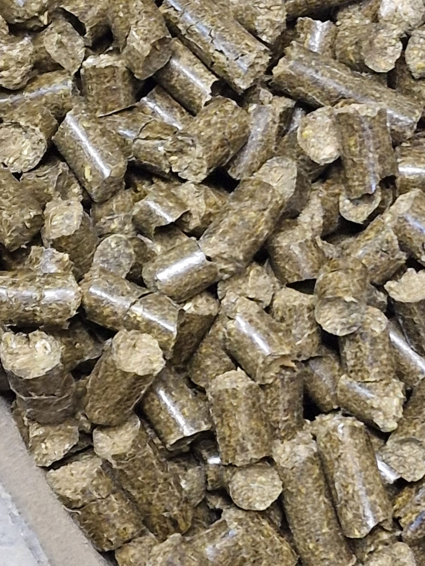 Recharge+ Complete - PREMIUM - Aufbaupellets für Pferde